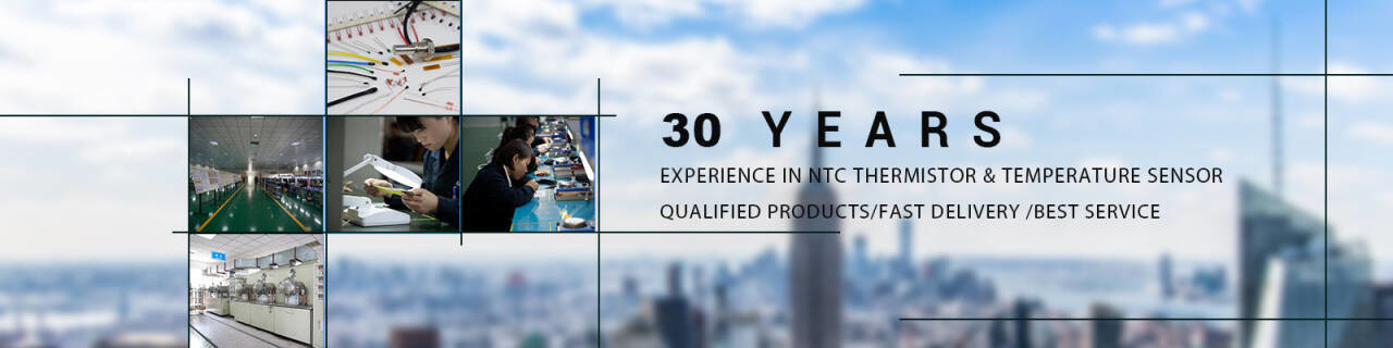 الدقة NTC الثرمستور
